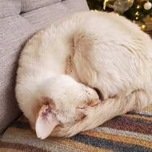 Meet your Posher, Leslie